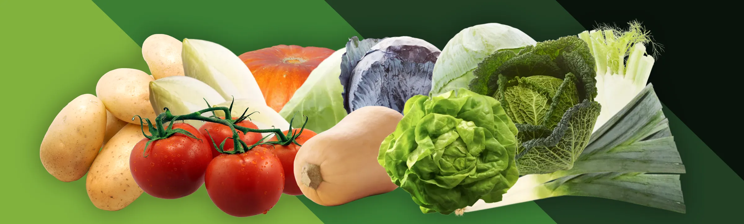 Verse groenten uit de groentenautomaat: aardappelen, tomaten, witloof, pompoen, kool, sla, prei en venkel